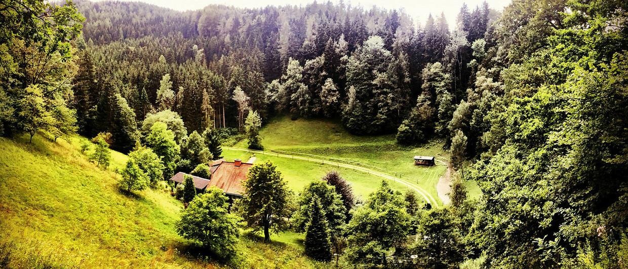 Die "Artfarm" in Niklasdorf bei Leoben