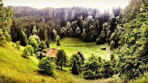 Die "Artfarm" in Niklasdorf bei Leoben