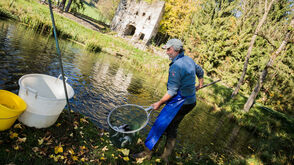 Im Kärntner Lavanttal betreibt Familie Rittler auf Schloss Lichtengraben eine Fischzucht. 
