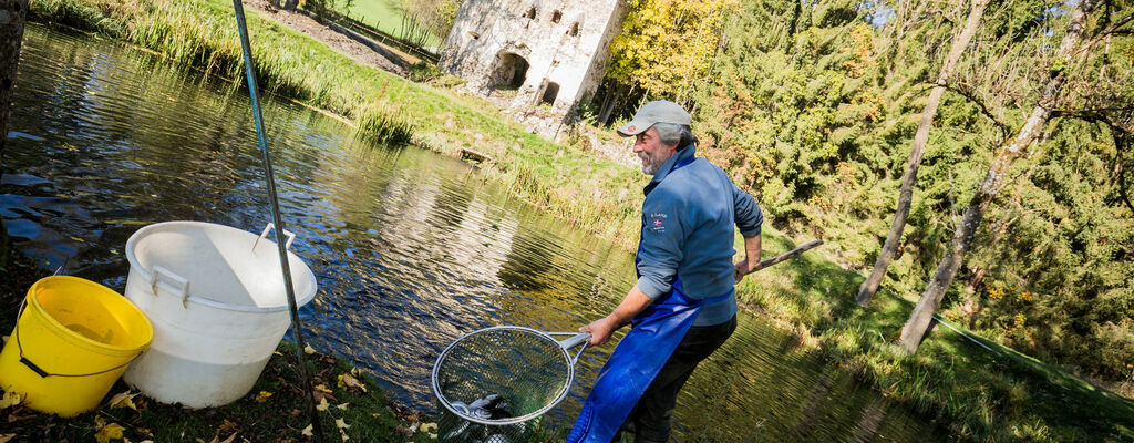 Im Kärntner Lavanttal betreibt Familie Rittler auf Schloss Lichtengraben eine Fischzucht. 