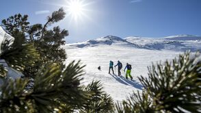 Schneeschuhwanderungen im Kleinwalsertal in Vorarlberg
