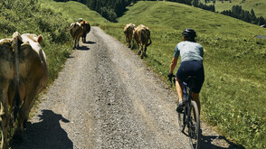 Gravelbiken im Bregenzerwald