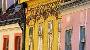 aden__Frauengasse_c_GG-Tourismus-der-Stadtgemeinde-Baden_Lois-Lammerhuber.jpg 