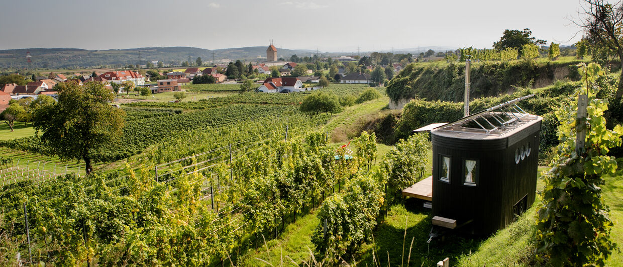 Wohnwagon "Karl" auf einer Weingartenterrasse, am Horizont die Donau