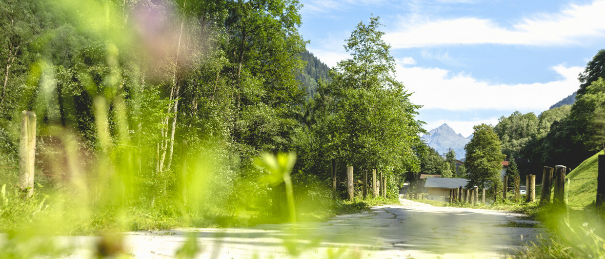 Talweg von Schruns nach St. Gallenkirch im Montafon