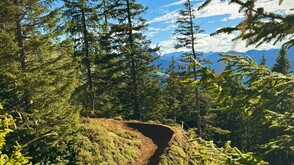 Mountainbiketrail in Kirchberg