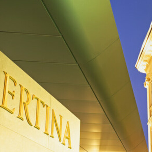 Vienna_Museo_Albertina_c_Oesterreich_Werbung_Popp_Hackner_architettura tetto_Hans_Hollein.jpg