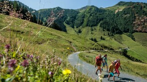 KAT Walk Kitzbüheler Alpen