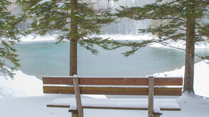 Grüner See Bank