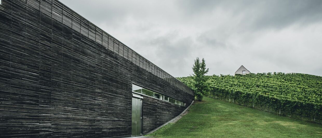 Weingut Lackner-Tinnacher