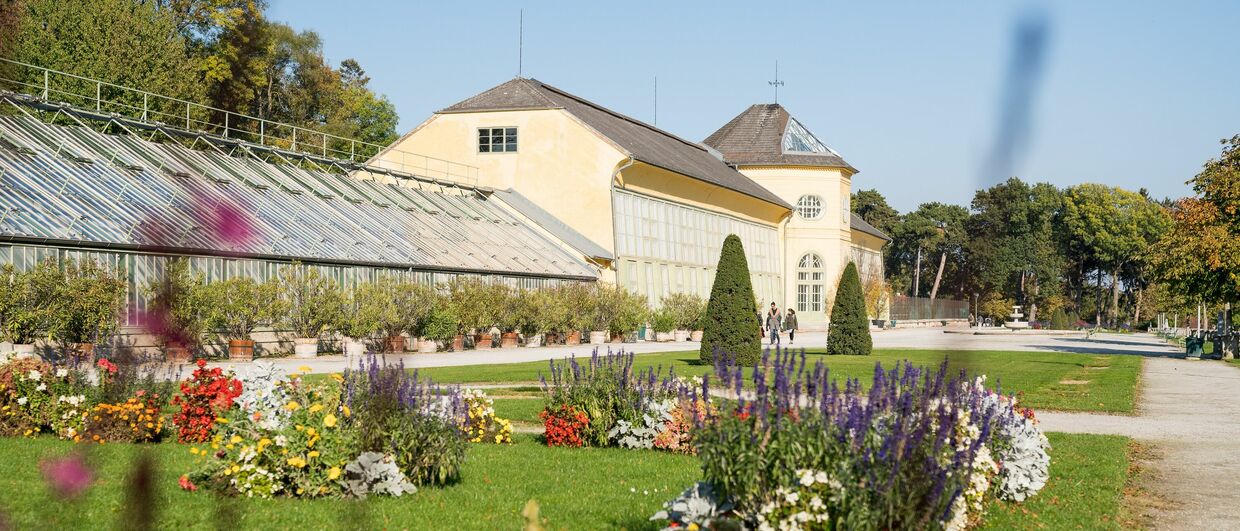 Orangerie im Schlosspark Schloss Esterházy