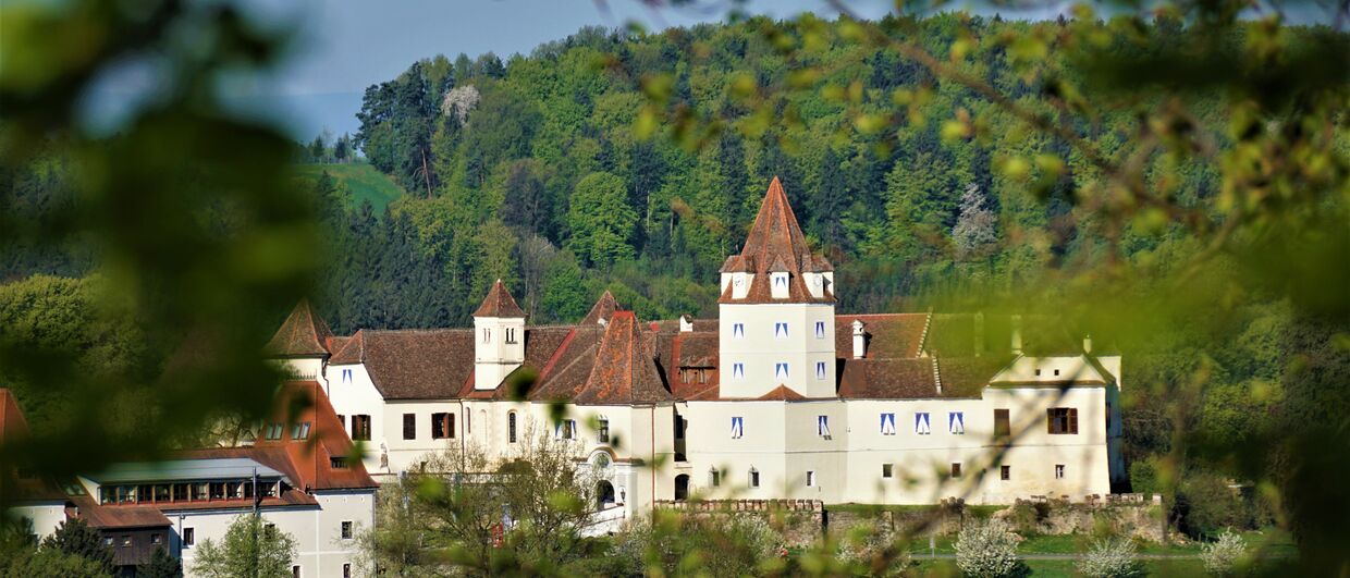 Schloss Kornberg im steirischen Thermen- und Vulkanland