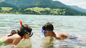Schnorcheln am Weissensee in Kärnten
