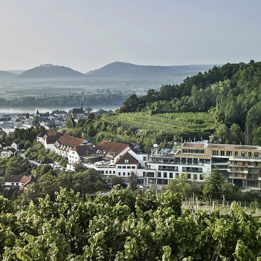 Weinberge umgeben das Steigenberger Hotel & Spa Krems an der Donau.