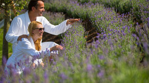 Urlaub mit grünem Gewissen Gartenparadies-Lavendel-Larimar