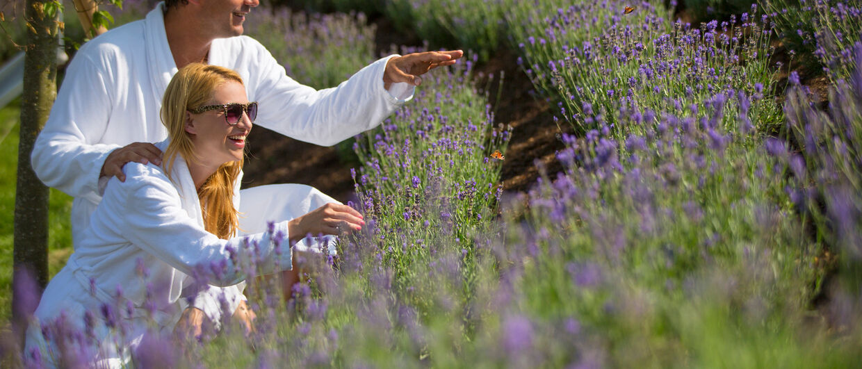 Urlaub mit grünem Gewissen Gartenparadies-Lavendel-Larimar