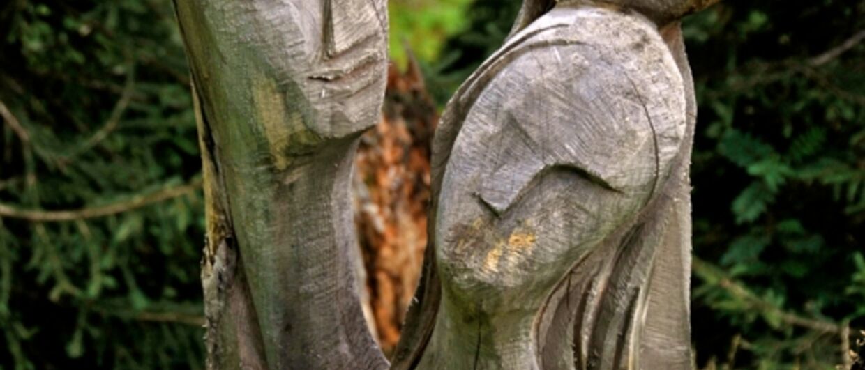 Forest of Fables
