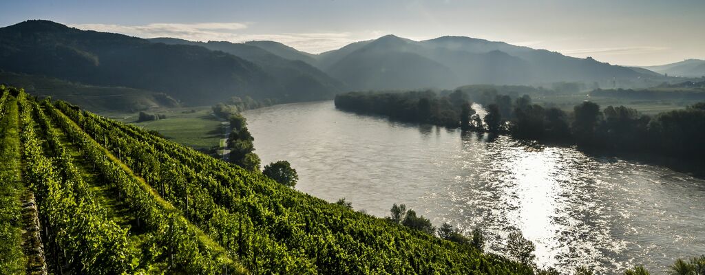 Auf dem Welterbesteig Wachau umrunden Wander*innen in 14 Etappen eine der schönsten Flusslandschaften Europas.