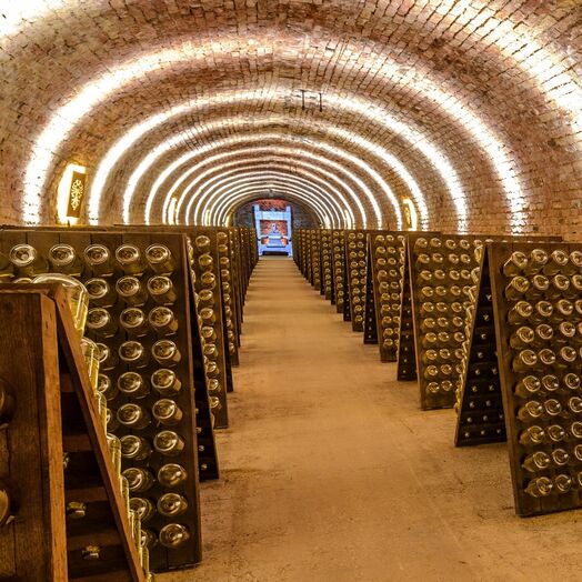 Завод шампанских вин "Шлюмбергер"