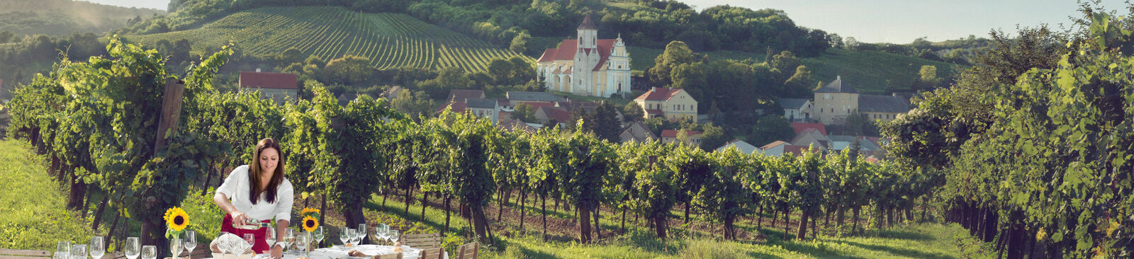 Tafeln im Weinberg