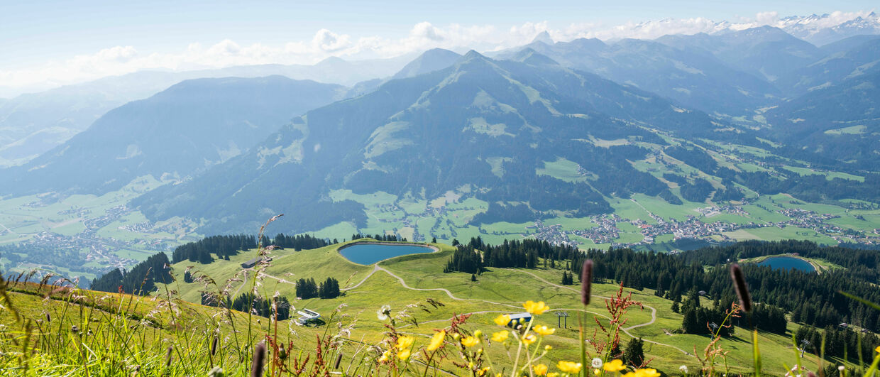 Hohe Salve panorama