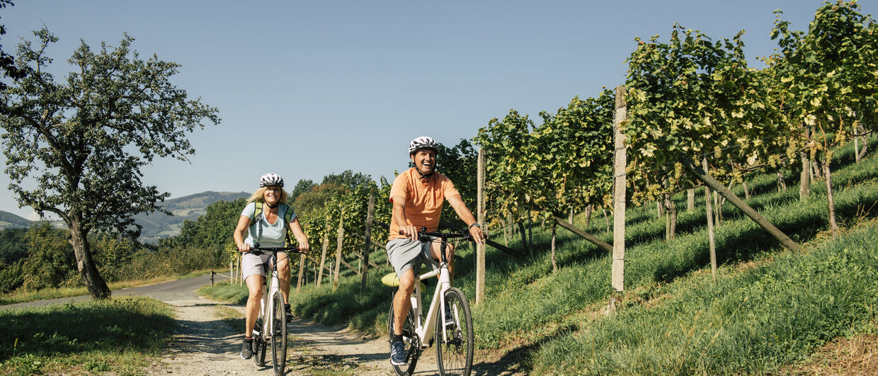 Eine Freude! Radfahren im Weinland Steiermark