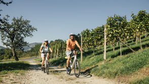Eine Freude! Radfahren im Weinland Steiermark