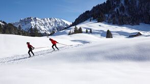 Ski de fond au Bregenzerwald_Adolf Bereuter