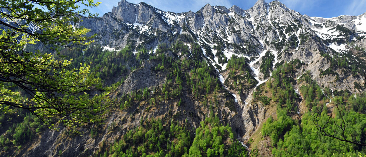 Horské masivy v národním parku Kalkalpen