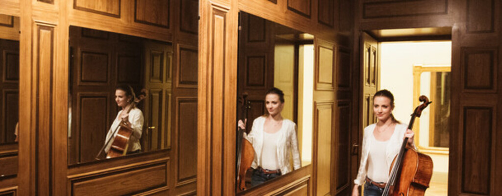 Vienna_Wiener_Musikverein_Oesterreich_Werbung_Sebastian_Stiphout.jpg