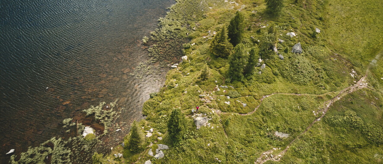 Murtal, Michael Königshofer