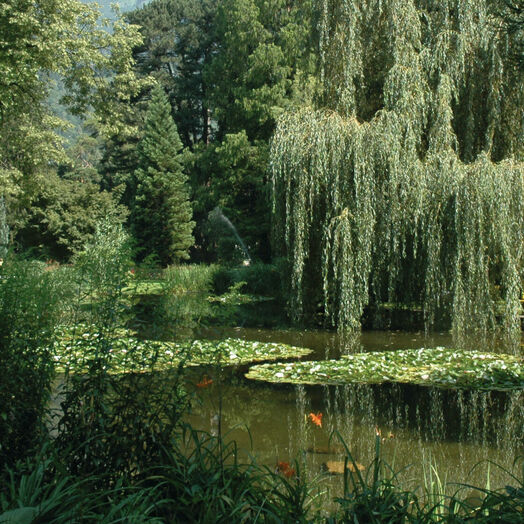 Innsbrucks Idylle: der Hofgarten