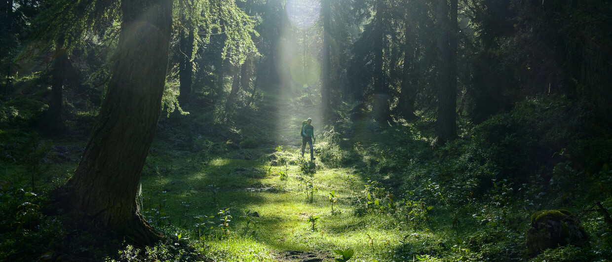 Steiermark Tourismus/pixelmaker.at