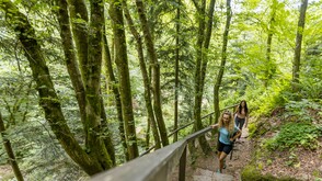 Zwei Frauen wandern durch die Wolfsschlucht in Bad Kreuzen in der Donauregion