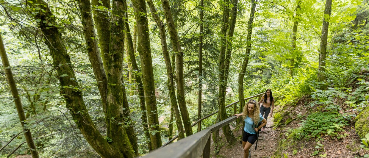 Zwei Frauen wandern durch die Wolfsschlucht in Bad Kreuzen in der Donauregion