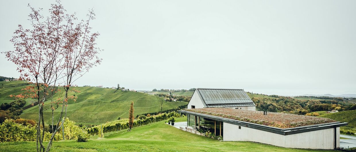 Weingut Lackner-Tinnacher
