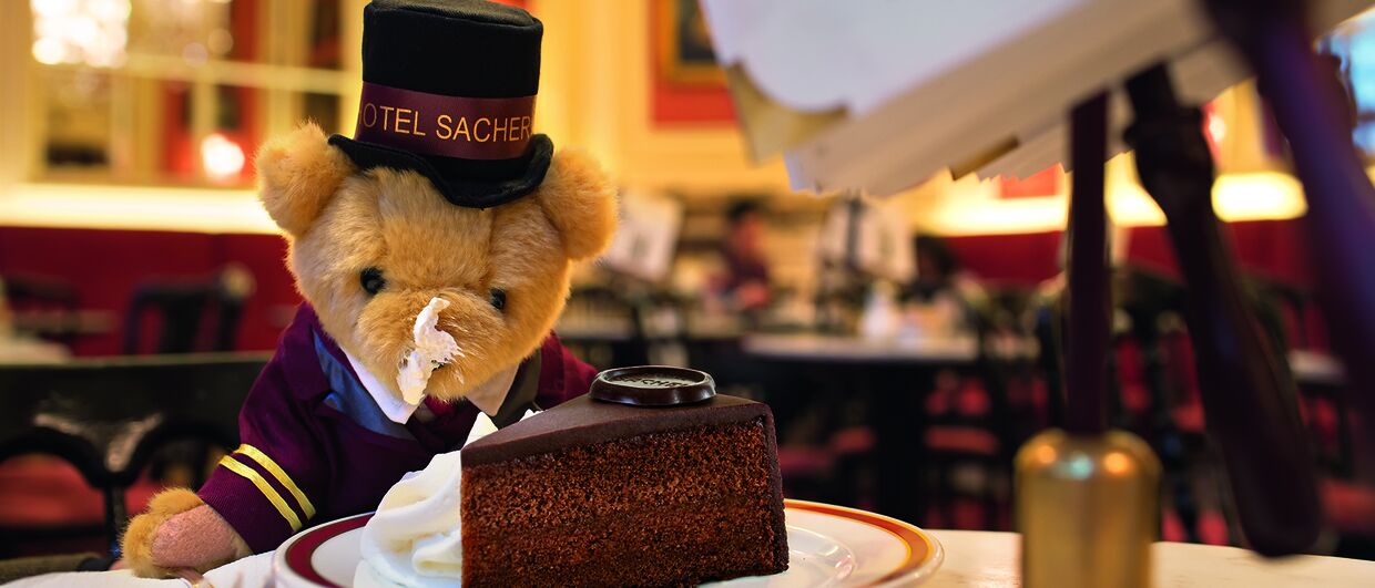 Petit Sacher - Franz Teddy enjoying a piece of Sacher Torte