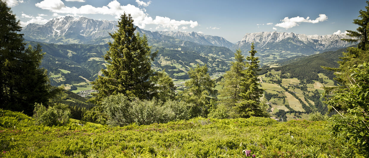 Schöne Aussichten! Wandern in St. Johann im Salzburger Land