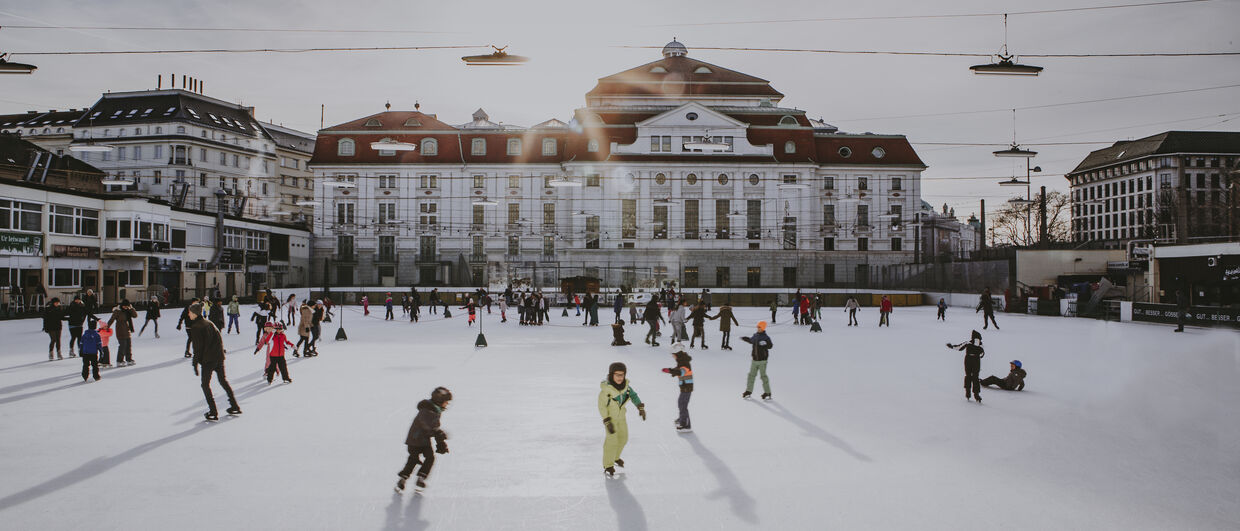 Зимнее развлечение: Катание на коньках в Венском обществе любителей катания на коньках