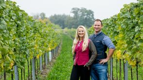 In der Thermenregion in Niederösterreich betreibt Familie Dungl einen bodenständigen Heurigen und ein Weingut.