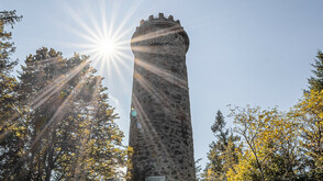 Pilgerweg Wilheringerweg