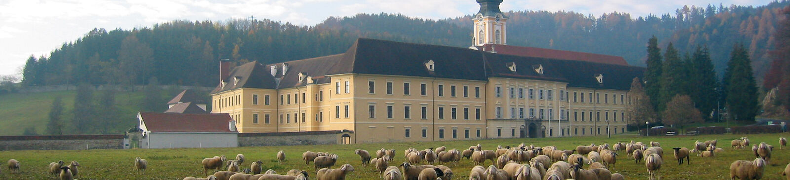 Refugium für Männer