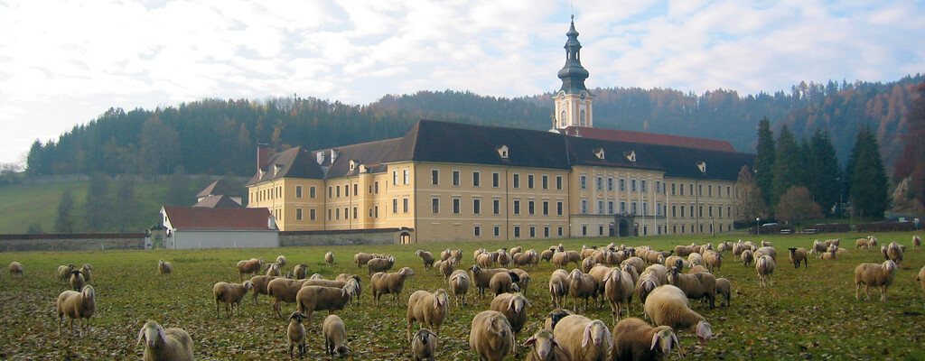 Refugium für Männer