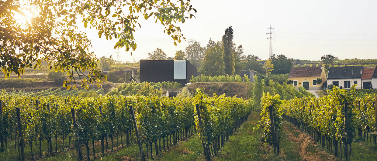 Weingut Loimer