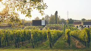 Weingut Loimer