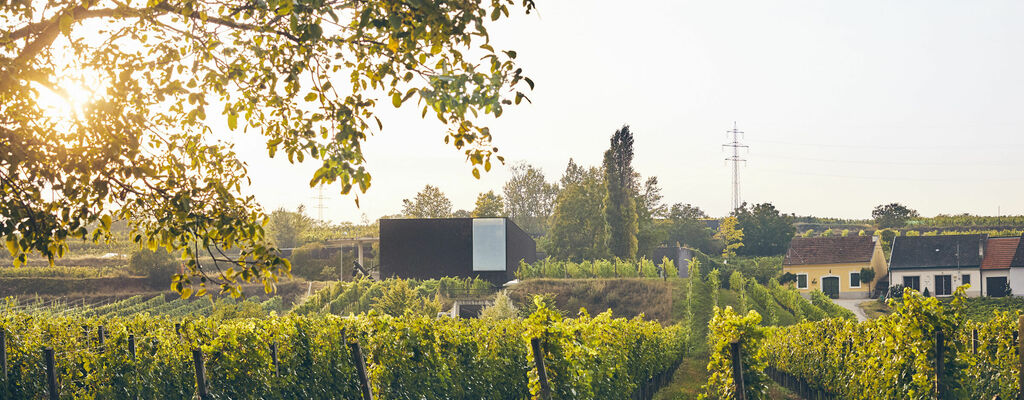 Weingut Loimer