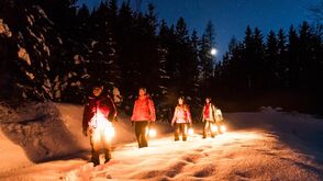 Magische Momente bei einer geführten Nachtwanderung im Naturpark Dobratsch in Kärnten