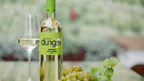 In der Thermenregion in Niederösterreich verwöhnt das Weingut Dungel mit Hausmannskost und feinen Weinen. 
