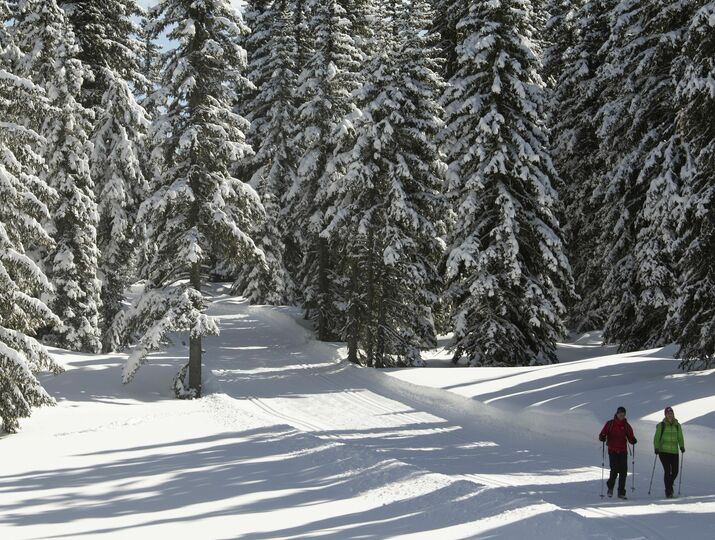 Winter Walking in Tirol © Tirol Werbung, Stolle Frank