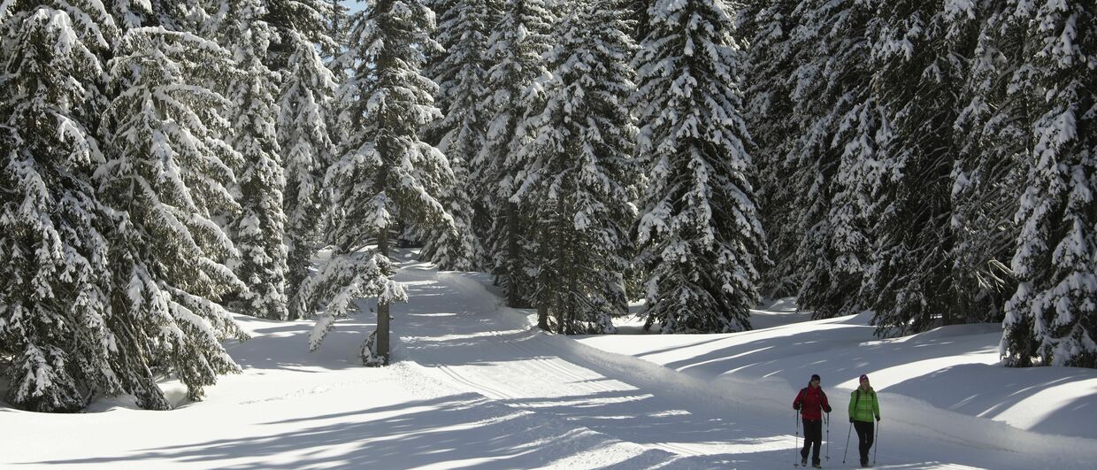 Winter Walking in Tirol © Tirol Werbung, Stolle Frank
